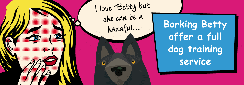 dog_training